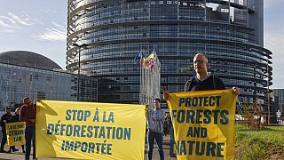 Διαδήλωση κατά της αποψίλωσης των δασών έξω από το Ευρωπαϊκό Κοινοβούλιο στο Στρασβούργο