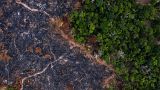 La vue aérienne d'une zone brûlée de la forêt amazonienne prise à Prainha, dans l'État du Para, au Brésil, le 23 novembre 2019. 