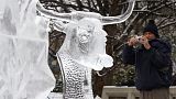 Un visiteur prend une photo d'une sculpture de glace lors du Festival du Bal de Neige à Ottawa au Canada, le 30 janvier 2016