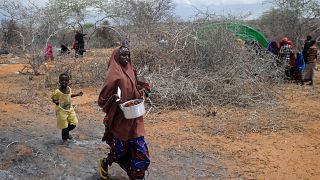 La sécheresse plonge la Somalie dans une ''urgence catastrophique''