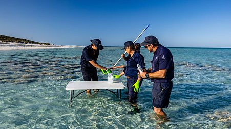 UNESCO scientists taking eDNA samples at Shark Bay, Western Australia