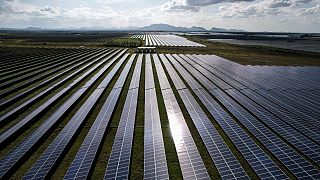 A napelemek áramtermelése nőhet a legnagyobb arányban a következő 5 évben az IEA szerint