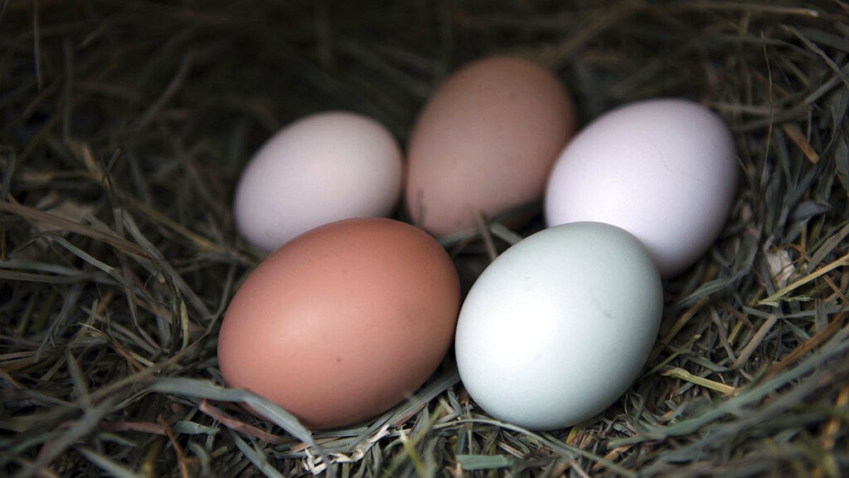 Είδος πολυτελείας ρείνουν να γίνουν τα αυγά στη Βρετανία