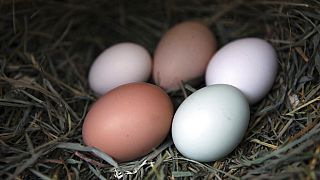 Είδος πολυτελείας ρείνουν να γίνουν τα αυγά στη Βρετανία