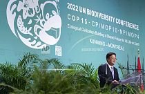 Cerimonia di apertura della Conferenza delle Nazioni Unite sulla biodiversità Montreal.