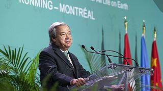 Antonio Guterres speaks at the opening ceremony of the U.N. Biodiversity Conference, or COP15, in Montreal, Tuesday, Dec. 6, 2022.