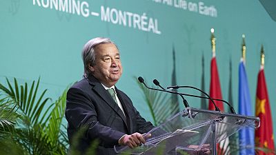 António Guterres quer acordo de paz com a natureza