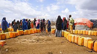 ONU : la moitié de la population somalienne touchée par la sécheresse