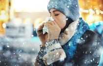 Should we be wearing balaclavas? Scientists have finally uncovered how our noses’ immune response weakens when temperatures drop.