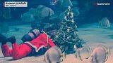 غواص يرتدي زي سانت كلوس يعد زينة عيد الميلاد في  حوض Tropicarium Shark في بودابست، المجر.