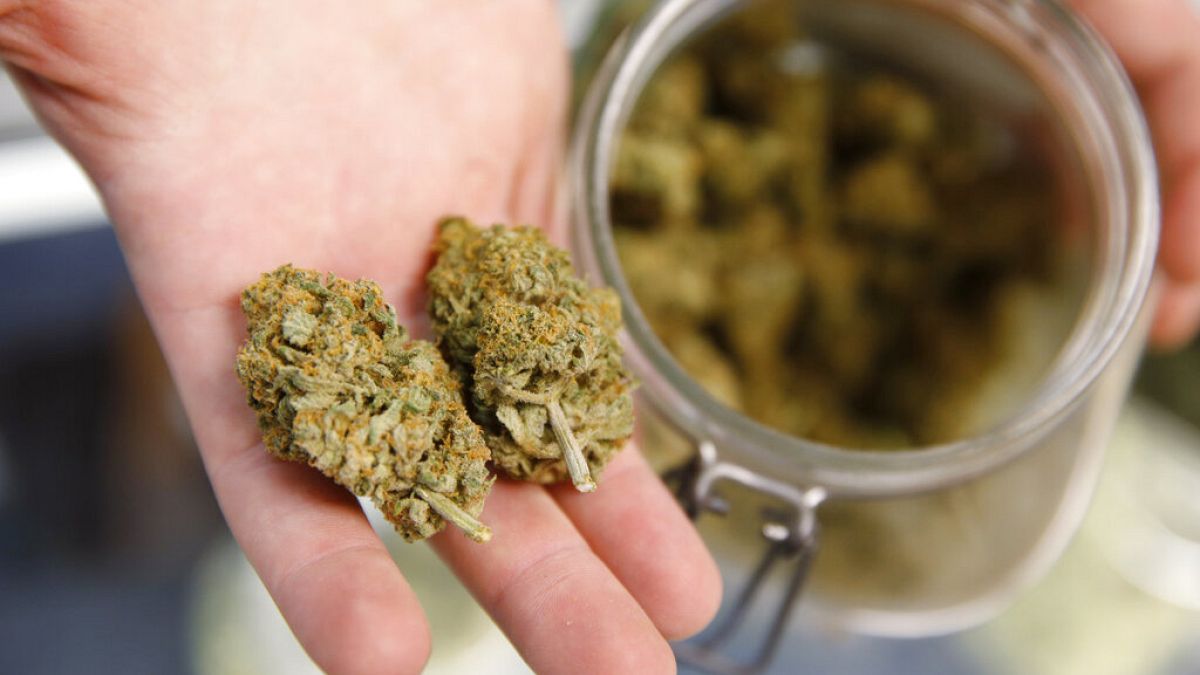 A Colorado állambeli Denverben mutat két marihuána-rögöt egy eladó kliensének