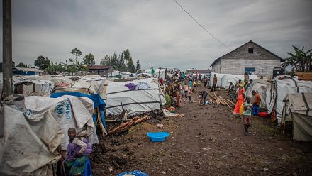 RDC : au moins 131 morts dans le massacre de Kishishe, selon la MONUSCO