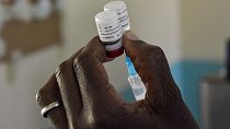 La lutte contre le paludisme interrompue par la Covid-19