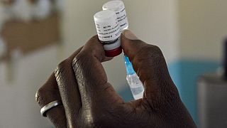 Malaria deaths on the rise according to the UN