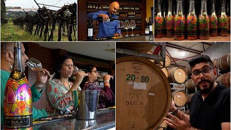 Wine makes up less than one percent of India's massive alcohol market.