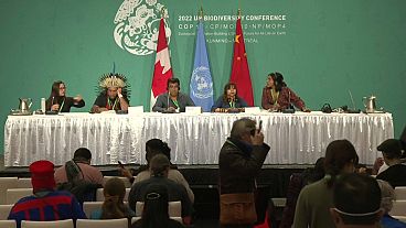 The UN's COP15 biodiversity summit is underway in Montreal, Canada.
