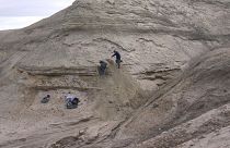 Archives : Chercheurs en train d'étudier des strates de sédiment, le 14 août 2006 dans la région de Cap Copenhague au Groenland,
