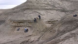Archives : Chercheurs en train d'étudier des strates de sédiment, le 14 août 2006 dans la région de Cap Copenhague au Groenland,