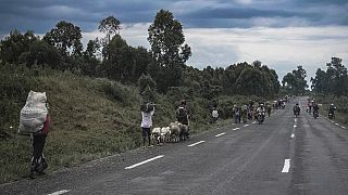 RDC : à Kibati, les véhicules circulent à nouveau librement