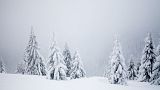 Climate change is wreaking havoc with weather patterns year round. What will it do to chances of a White Christmas?