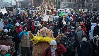 Manifestation pour défendre la biodiversité à Montréal, Canada, dimanche 11 décembre 2022.