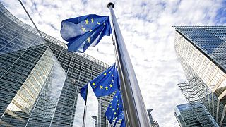 EU-Fahnen wehen vor dem EU-Parlament in Brüssel
