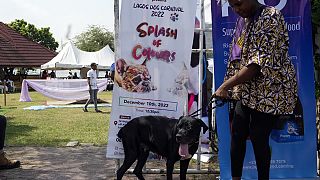Nigeria : Lagos a son festival canin