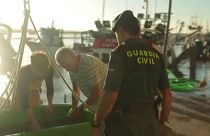 Un agente del Seprona acude al puerto de Huelva para llevar a cabo un control de la mercancía.