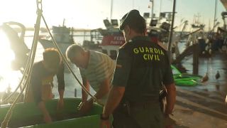 Un agente del Seprona acude al puerto de Huelva para llevar a cabo un control de la mercancía.