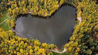 بحيرة قرب بالاشيخا، منطقة موسكو، روسيا، 4 أكتوبر 2021
