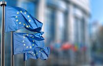 The EU Council has recommended that all COVID-19 related restrictions be lifted in the EU.