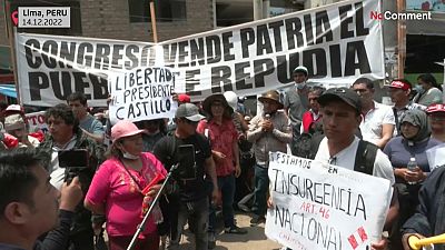 ex-president Pedro Castillo's supporters rally for his release