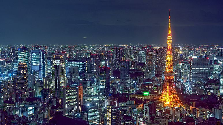 Tokyo makes solar panels mandatory for new homes