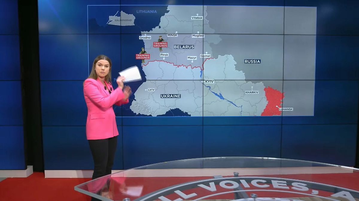 Euronews Correspondent Sasha Vakulina 