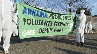 Акция "вымирающих" на химическом заводе во Франции