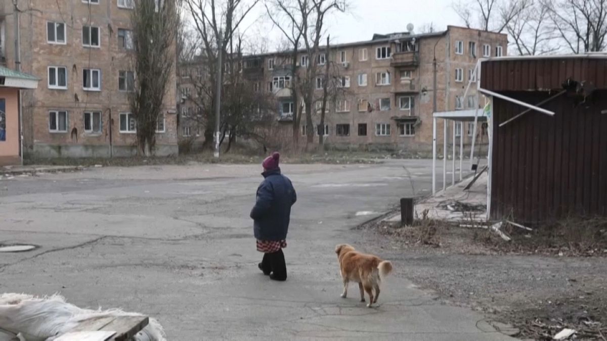 A woman walks with her dog in the Ukrainian frontline town of Avdiivka.