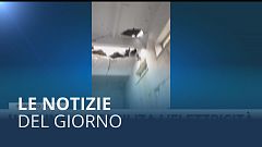 Le notizie del giorno | 18 dicembre - Serale