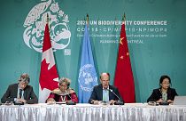 BM: 190'dan fazla ülke biyoçeşitliliği korumak için 'tarihi anlaşmayı' imzaladı