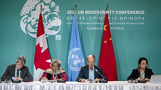 Negotiators speak during a press conference at the COP 15 summit on biodiversity, in Montreal, Saturday, Dec. 17, 2022.