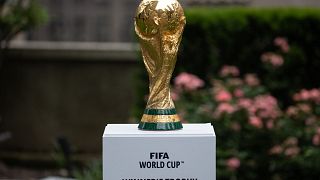 عرض كأس العالم FIFA خلال حدث في نيويورك بعد إعلان متعلق باستضافة كأس العالم لكرة القدم 2026.