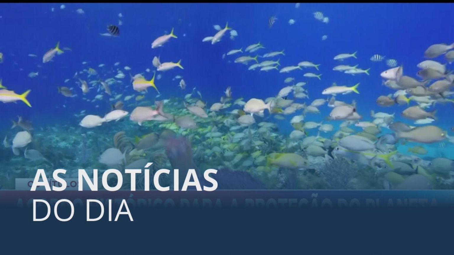 As notícias do dia | 19 Dezembro 2022 - Noite