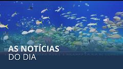 As notícias do dia | 19 Dezembro 2022 - Noite