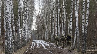 Ukrayna-Belarus sınırındaki Novi Yarylovychi sınır kontrol noktası / Arşiv