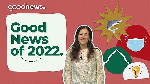 Best Good news stories of 2022