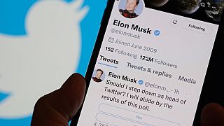 Twitter : Elon Musk sur le départ, après de nombreux soubresauts