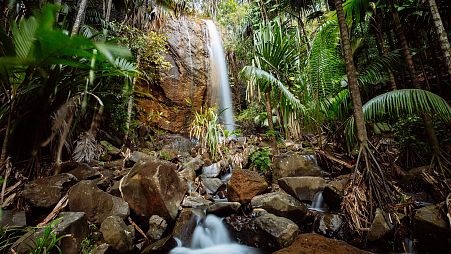Waterfall in Vallee De Mai forest, Praslin