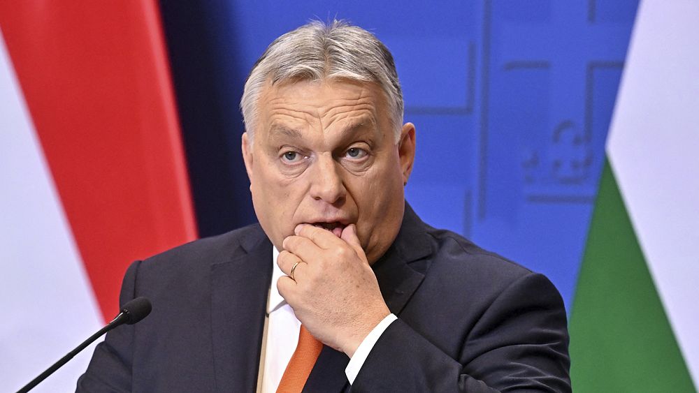 ‘Drain the swamp’: Orban calls for European Parliament to be dissolved