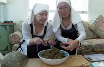 "Weed Nuns", are a group of feminist healers who grow, harvest and produce their own line of cannabis products.
