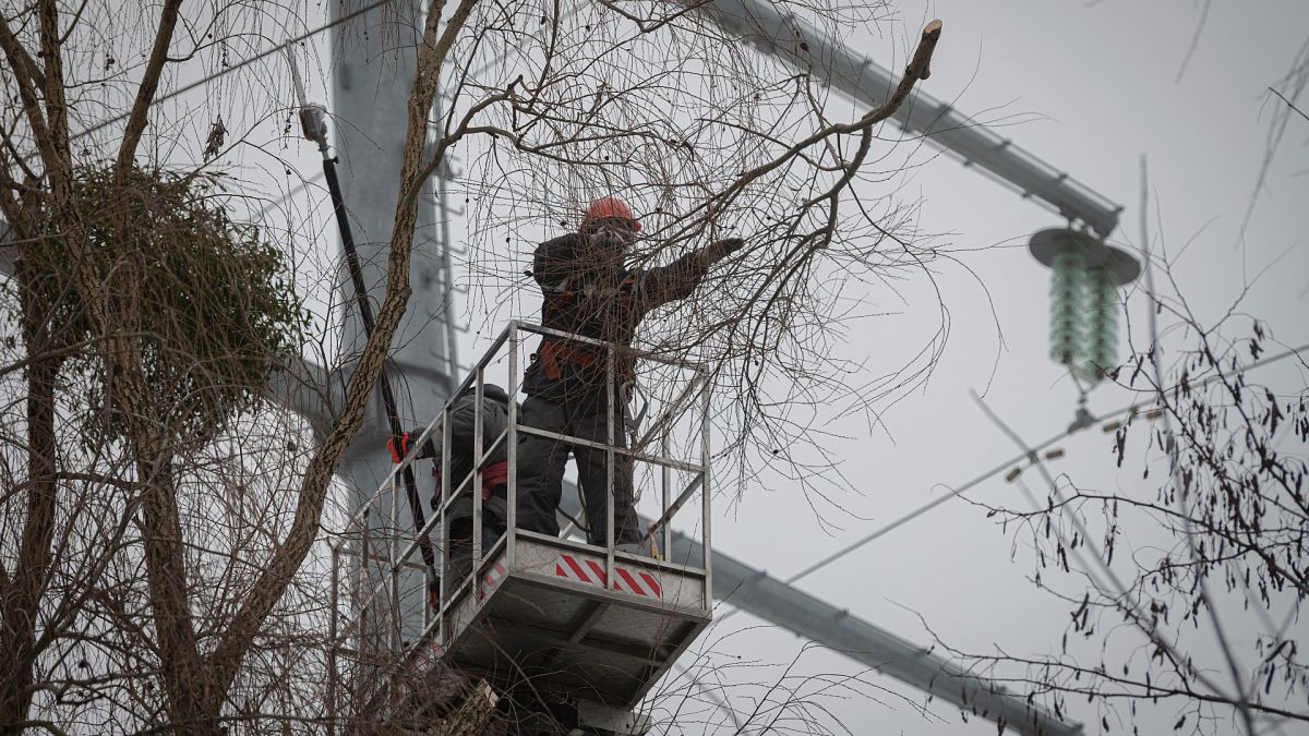 Workers of the electricity supply company DTEK maintain power lines by cutting off excess branches in Kyiv, Ukraine.