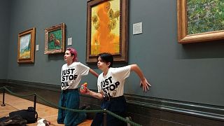 Videos of two activists throwing soup over a Van Gogh painting went viral in October.